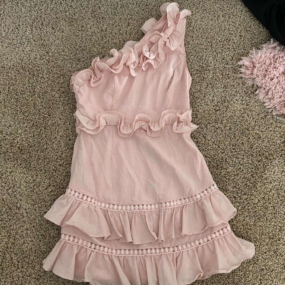Hello Molly Pale Pink Ruffle Mini Dress - Picture 2 of 3